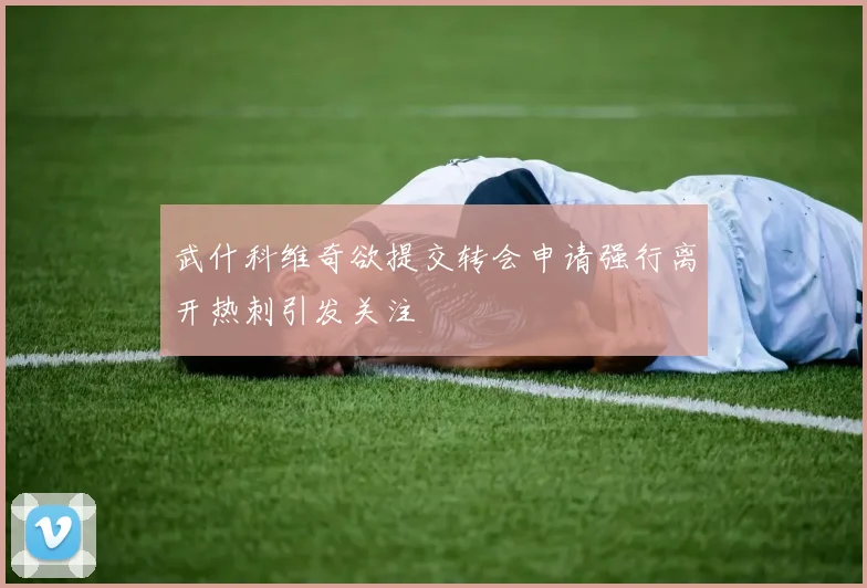 武什科维奇欲提交转会申请强行离开热刺引发关注