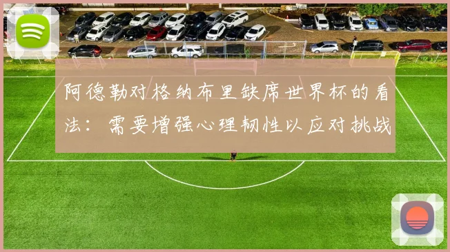 阿德勒对格纳布里缺席世界杯的看法：需要增强心理韧性以应对挑战